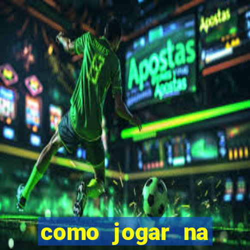 como jogar na seninha online